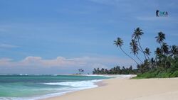 Sri Lanka - Explore the Wonders of Yala National Park Instructional Video