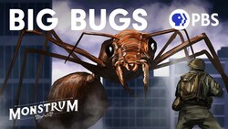 The Origins of ‘Big Bug’ Science Fiction Instructional Video