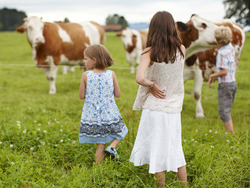 The Importance of Commitment Instructional Video