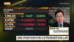 Dollar to Remain Strong Medium to Long Term: UBS's Tay News Clip