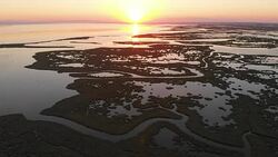 Aerial View of Wetland and Flamingos During Sunset Stock Footage