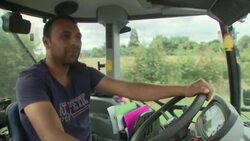 Maidstone fruit farm News Clip