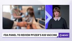FDA Panel To Review Pfizer Vaccine For Children News Clip