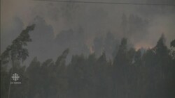 Portugal forest fires kill 62 News Clip