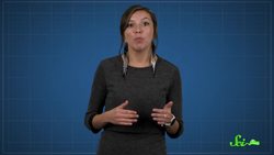 This Is What Peak Crustacean Looks Like Instructional Video