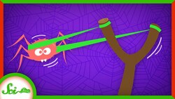 Slingshot Spiders Put Fighter Pilots to Shame Instructional Video