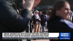 Michigan activists urge Dems to vote against Pres. Biden in primary News Clip
