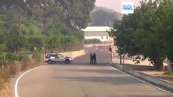 Portugal records 284 excess deaths during heatwave as wildfires rage across Europe Instructional Video