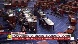 USA's Longest Government Shutdown To Finally End? News Clip