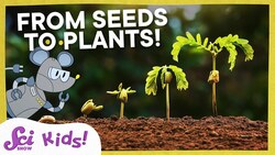Watch a Seed Sprout! | Squeaks Grows a Garden! | SciShow Kids Instructional Video