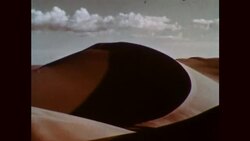 North Africa Desert 1950s Stock Footage