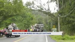 Tree falls on to power lines on Route 9W in Valley Cottage News Clip