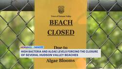 High bacteria and algae levels force closure of multiple Hudson Valley beaches Instructional Video