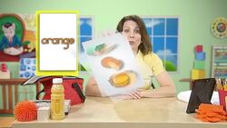 The Orange Rectangle Instructional Video