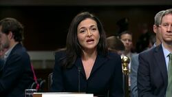 Facebook, Twitter mount defenses on Capitol Hill News Clip