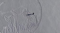 Massive moose made in snow with meticulous footprints 'very Canadian,' says artist News Clip