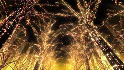 Neon Tree illumination Stock Footage