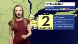 Dry, sunny and delightful July Fourth weather in Brooklyn News Clip