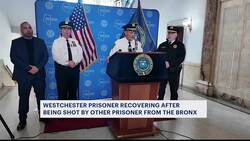 Prisoner from The Bronx shoots another prisoner inside transport van News Clip