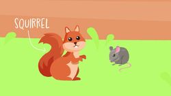 High Five Facts - Wildlife Conservation Instructional Video