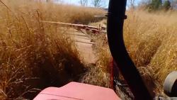 Chemists work up new formulas for greener plastic Instructional Video