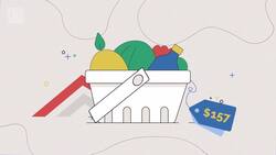 Could protectionism make food insecurity even worse? Instructional Video