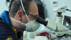 CLEAN : Female panda artificially inseminated at France's Beauval zoo News Clip