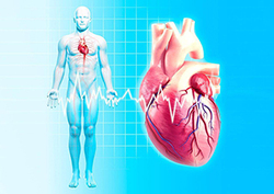 Why does your heart beat? Instructional Video