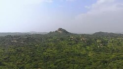 Indian Hills with Fields and Forest Stock Footage
