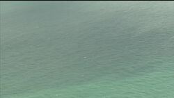 Aerials of search for missing plane carrying Cardiff City striker Sala  News Clip