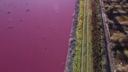 CLEAN : Lagoon in Argentine Patagonia turns pink due to pollution News Clip