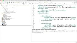 Java Programming for Complete Beginners - Java 16 - Step 10 - Exploring Spring Boot DevTools Instructional Video