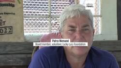 How older cats enjoy retirement in South Africa News Clip