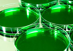 Control Instructional Video