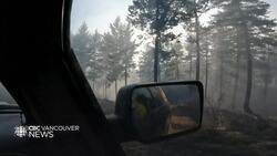 How cultural burning makes B.C. forests resilient to wildfire News Clip
