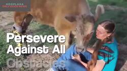 5 New Year's Resolutions To Make Every Year Great Instructional Video