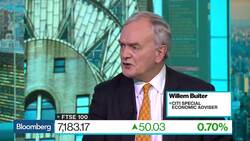 Buiter Says Socialist-Type Measures Would Do Well in America News Clip