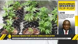 South Africa withdraws ban on cannabis food products News Clip
