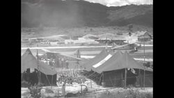 French nurse Lt. Genevieve De Galard-Terraube reaches Hanoi after release from communist captivity, and French wounded are evacuated News Clip