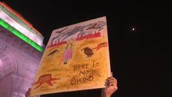 Protesters demand solution to toxic New Delhi smog Instructional Video