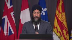 Singh on Trump: "I'm shocked that I can still be shocked" News Clip