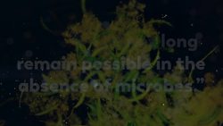 What If All the Microbes Disappeared Instructional Video