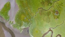 Overhead marshland Green river algae Stock Footage