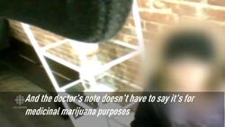 No pot prescription? No problem News Clip