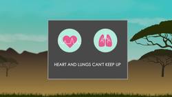 BIOLOGY - Physiology - Anaerobic Respiration Instructional Video