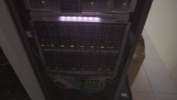 Tracking enormous locust swarms using supercomputer News Clip