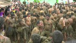 CLEAN : India's Cattle Royale dung fight marks end of Diwali News Clip