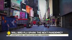Bird flu's deadly evolution: A new pandemic threat emerges News Clip