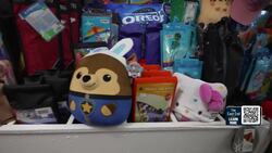 The East End: Kites of the Harbor News Clip