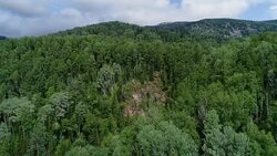 A view from above of wildlife. Stock Footage